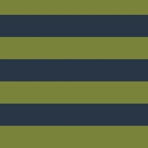 Large Horizontal Awning Stripe Pattern - Artichoke Green and Medium Charcoal
