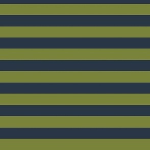 Horizontal Awning Stripe Pattern - Artichoke Green and Medium Charcoal