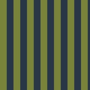 Vertical Awning Stripe Pattern - Artichoke Green and Medium Charcoal