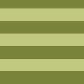 Large Horizontal Awning Stripe Pattern - Artichoke Green and Pear Green