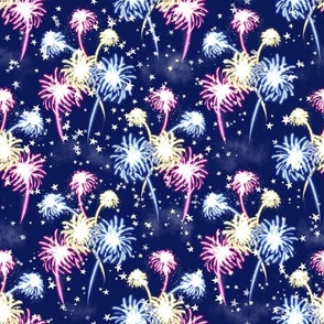 Fireworks on Navy