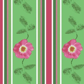 stripes_and_single_rose_with_2_leaves_2_Picnik_collage-ch