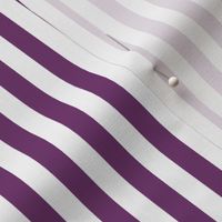 Strictly Stripes - Ban und plum