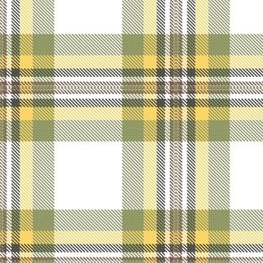 Twill Plaids , Tartans , Checks 5.35in x 5.35in