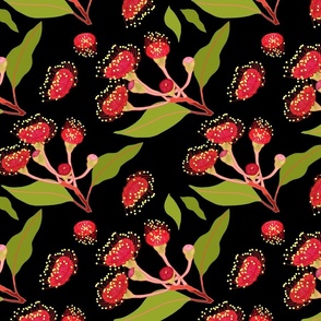 Scarlet Eucalyptus Blossom - black, medium to large 