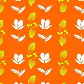 Orange_spring season