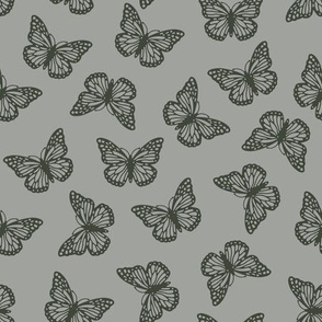 178-16 butterflies