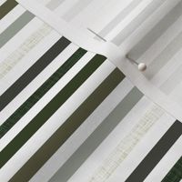 1/4" linen stripes: seaweed, latte, sage, forest, olive