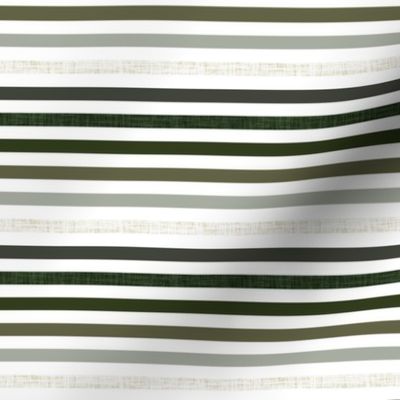 1/4" linen stripes: seaweed, latte, sage, forest, olive