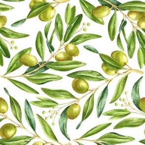 Olives on White