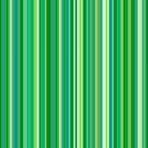 Green Spring Onion Stripes