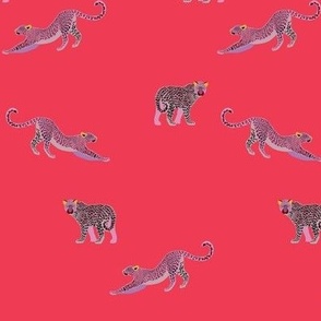 Jungle Cats Hot Pink