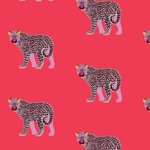 Leopard Hot Pink