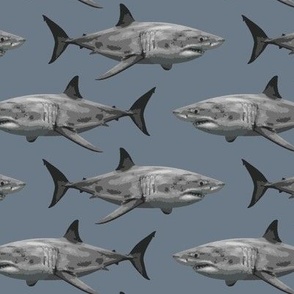 great white shark SL light gray 