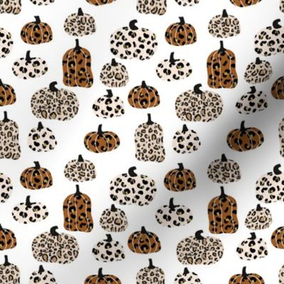 SMALL leopard pumpkins  - thanksgiving fall fabric  - white