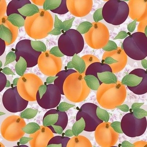 Apricots & Plums