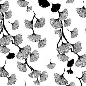 Ginkgo leaves black and white