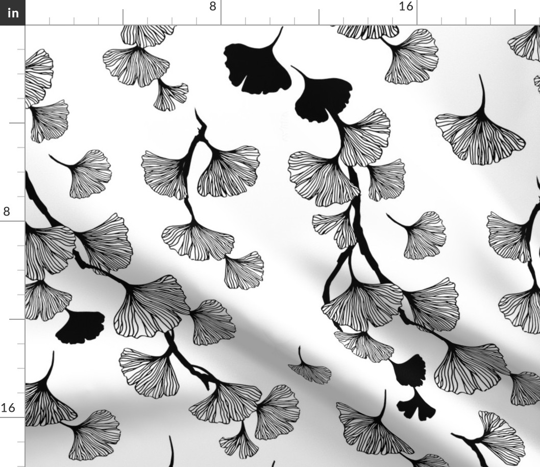 Ginkgo leaves black and white