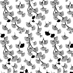 Ginkgo leaves black and white small