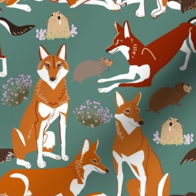 Caberu Wolf pattern in teal Ethiopian Wolf