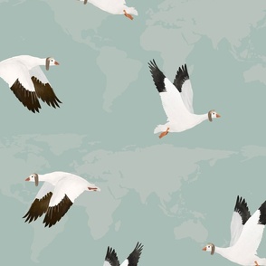 Aviator Geese World Map Larger Scale