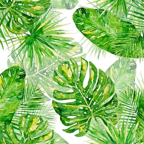 Tropical leaves white large with background 