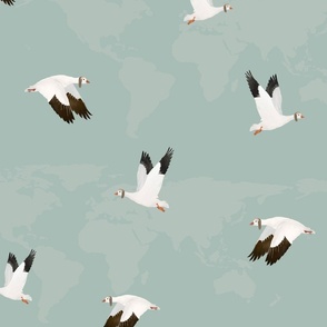Aviator geese world  map traveler 