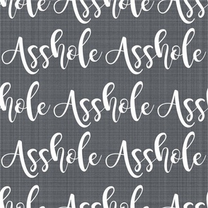 Large Scale Asshole White Lettering on Grey Texture Background Funny Adult Swear Humor