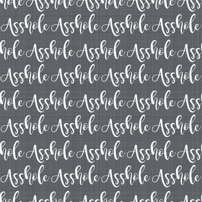 Medium Scale Asshole White Lettering on Grey Texture Background Funny Adult Swear Humor