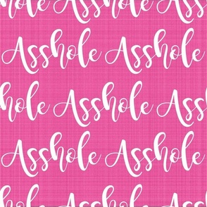 Large Scale Asshole White Lettering on Hot Pink Texture Funny Adult Swear Humor