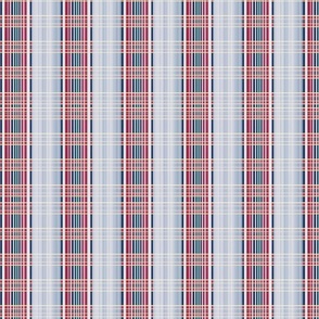 Plaid   attern Fabric 37