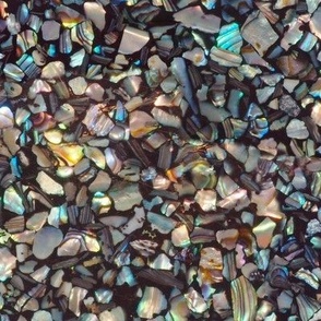 Paua Abalone Shell Chips Large True Colour natural mosaic