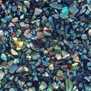 Paua Abalone Shell Chips Large Blue natural mosaic