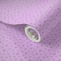 stellate whimsy in lilac