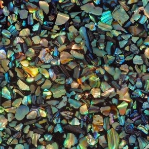 Paua Abalone Shell Chips Large Deep natural mosaic