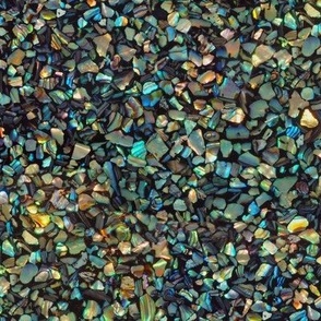 Paua Abalone Shell Chips Small Deep natural mosaic