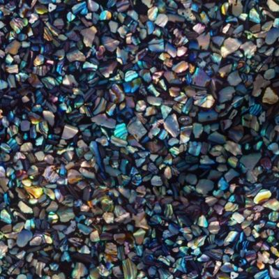 Paua Abalone Shell Chips Small True Colour mosaic