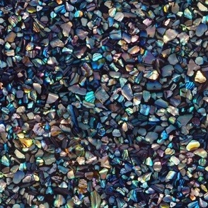 Paua Abalone Shell Chips Small True Colour mosaic