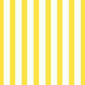 yellow stripes // large scale