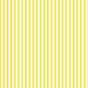 yellow stripes // medium scale