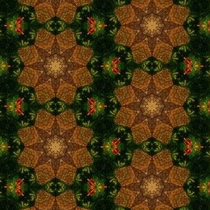 Bee Skep Kaleidoscope