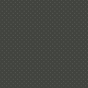 Tiny polka dots on charcoal grey background