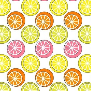 Sliced citrus on white