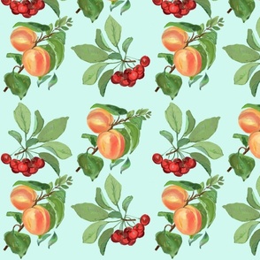 Peach and cherries 