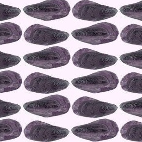 mussels on pale pastel lilac