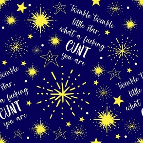 Large Scale Sweary Twinkle Little Star What a Fucking Cunt You Are Funny Adult Humor
