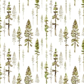 Pine trees detailed