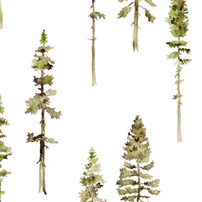 Pine trees white large