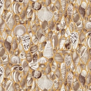 small seashells on ochre