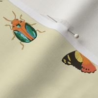 Painted Australian Insects: Butterfly, Bee, Moth, Beetle, Ladybird & Caterpillar / Light Beige Linen / Large